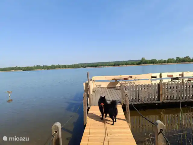 Location de Vacances Allemagne, Hesse, Bad Wildungen, appartement - Appartement zum Märchenwald ****  Plage de baignade pour chiens - également pour les humains