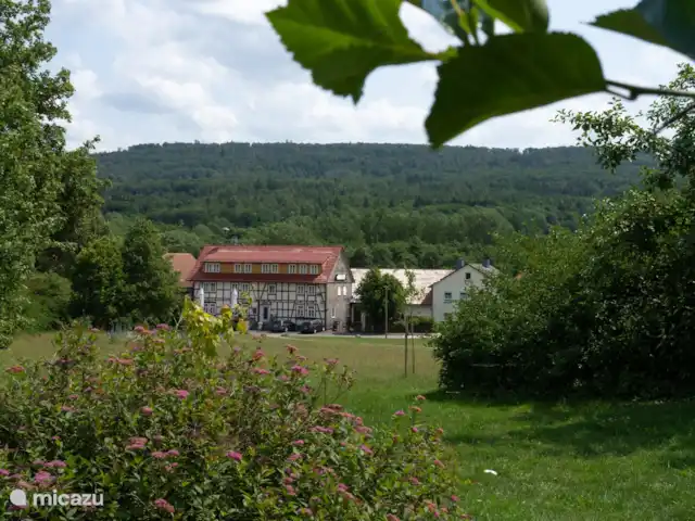 Location de Vacances Allemagne, Hesse, Bad Wildungen, appartement - Appartement zum Märchenwald ****  Parc du village avec 2 restaurants, taille de pierres précieuses, café, etc...