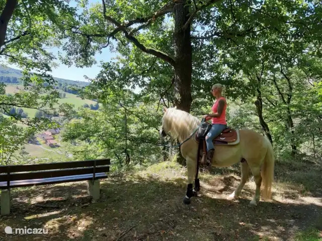 Location de Vacances Allemagne, Hesse, Bad Wildungen, appartement - Appartement zum Märchenwald ****  Sentiers acceptant les animaux de compagnie, chevaux, sentiers de randonnée