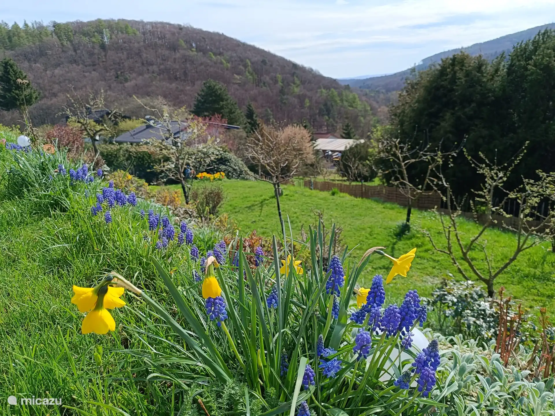 Part of the organic garden 900 sqm fenced