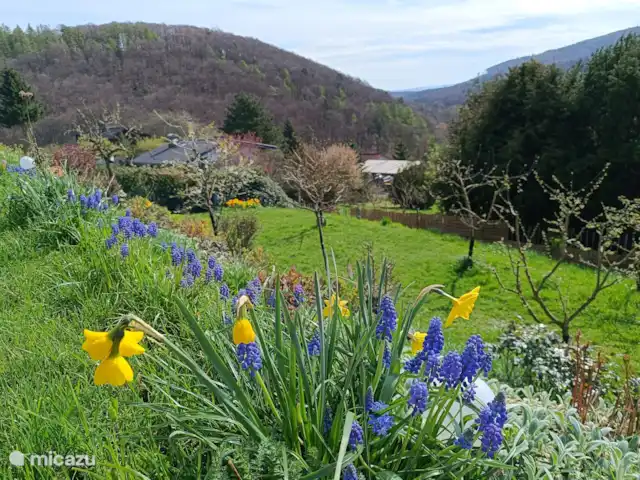 Location de Vacances Allemagne, Hesse, Bad Wildungen, appartement - Appartement zum Märchenwald ****  Partie du jardin biologique de 900 m² clôturée