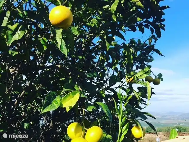 Wandelen, Italië, Sicilië, Carlentini, vakantiehuis Casa Bellini 2