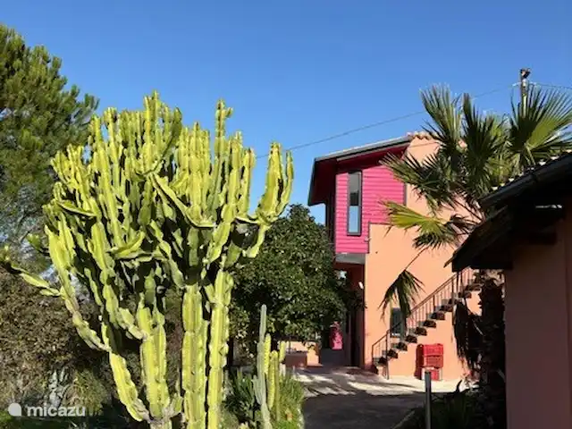 Wandelen, Italië, Sicilië, Carlentini, vakantiehuis Casa Bellini 2