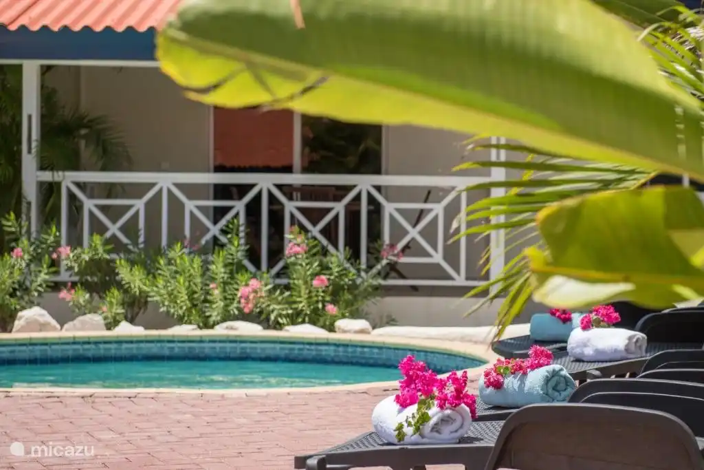 Belle piscine entourée d’un joli jardin.