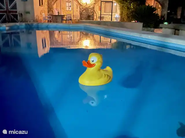 Casa Rural Ubeda | Espagne, Valence, Pinoso - maison de vacances Piscine