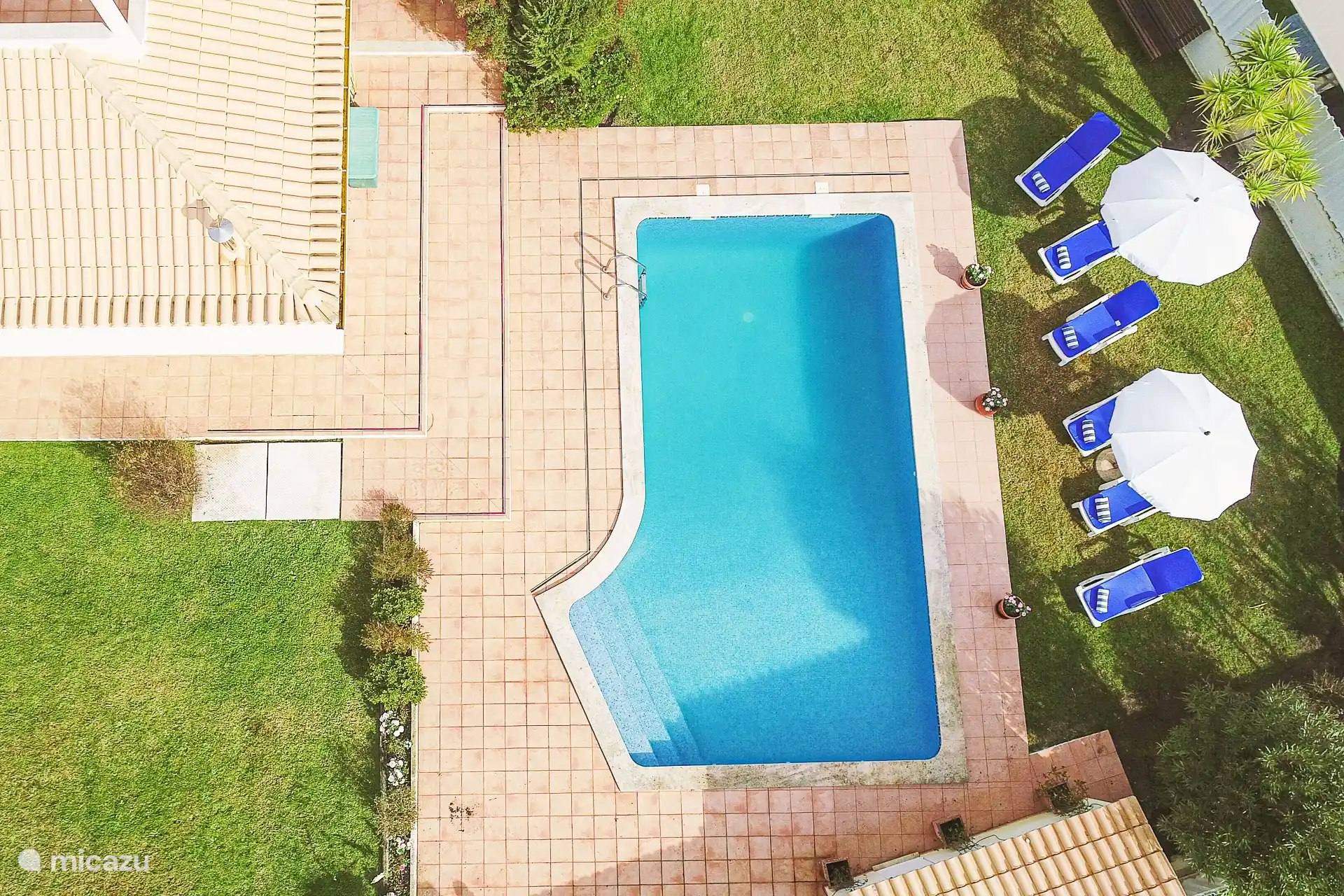 Blick von oben auf den Pool