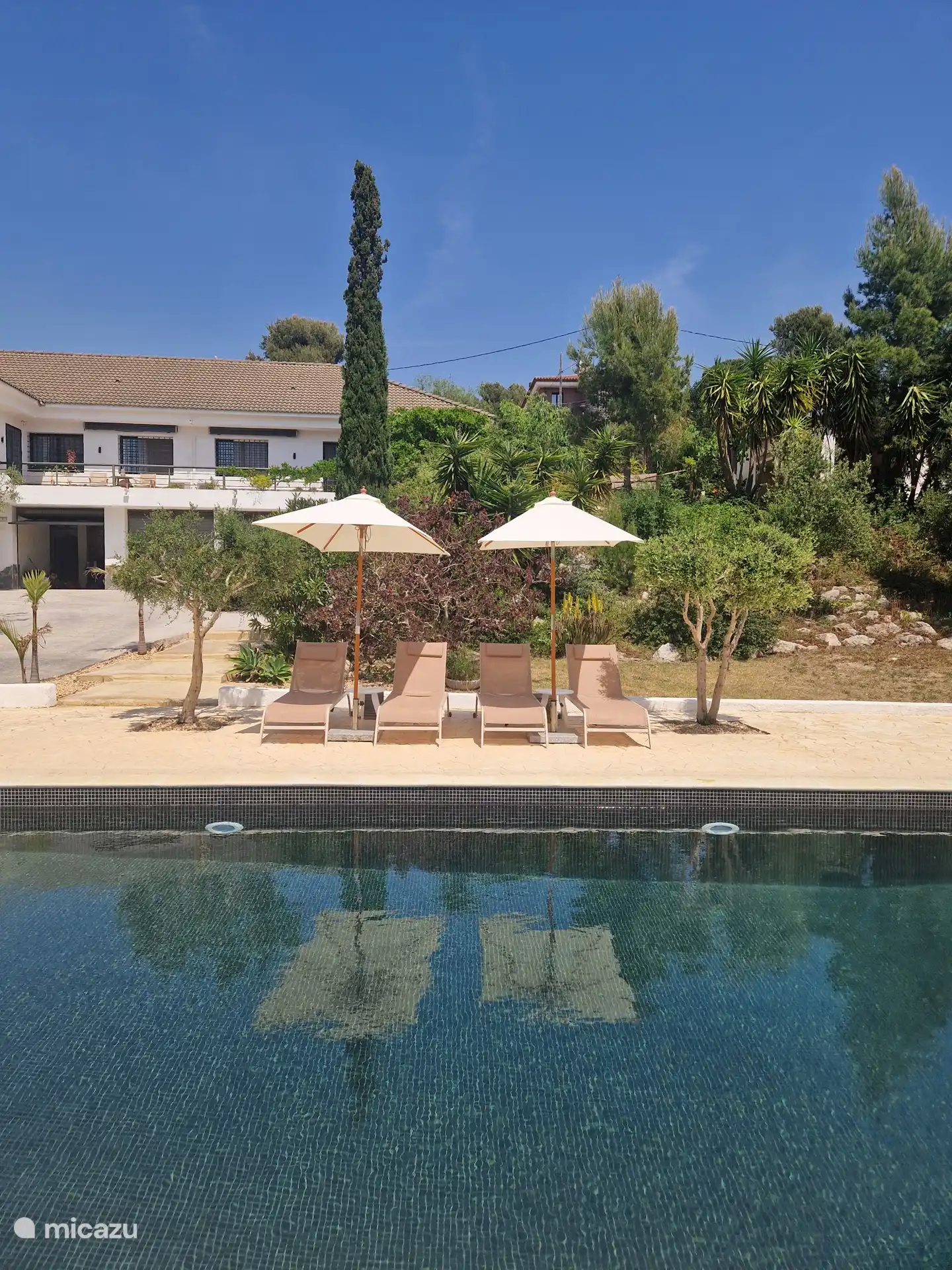 Un lugar relajante junto a la gran piscina nueva, rodeada de vegetación.
