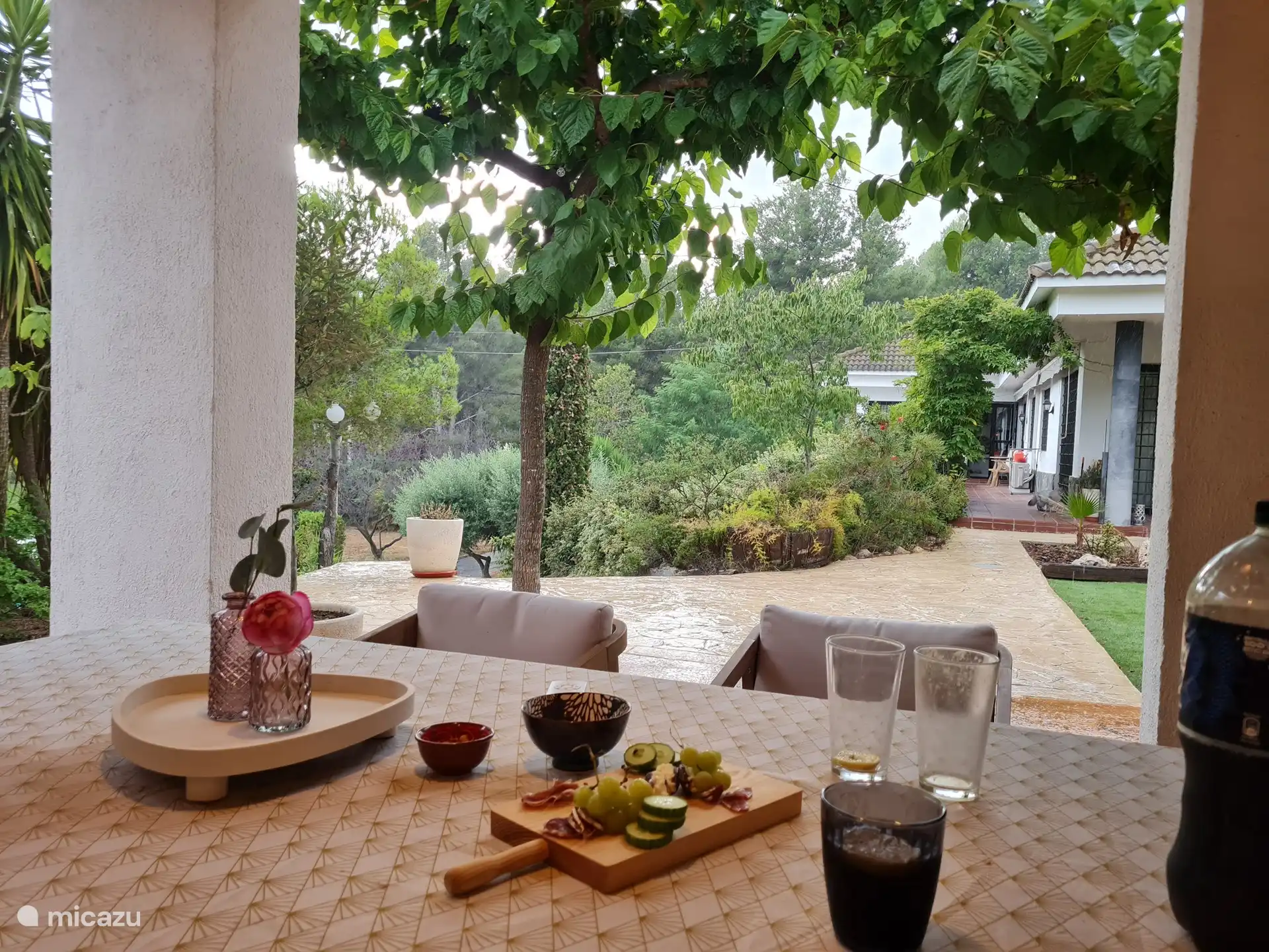 Blick von draußen in den Garten und in Richtung Wohnung 