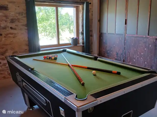 Uni-Vert avec piscine privée | France, Haute-Vienne, Coussac-Bonneval - gîte / cottage Billard