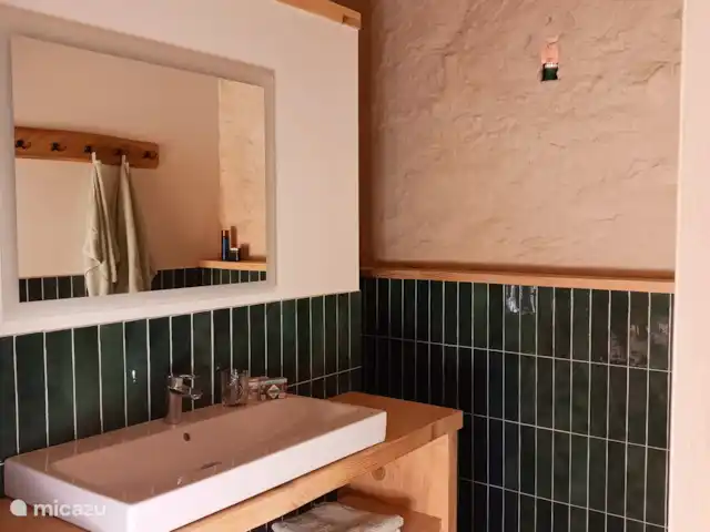 Uni-Vert avec piscine privée | France, Haute-Vienne, Coussac-Bonneval - gîte / cottage Salle de Bains