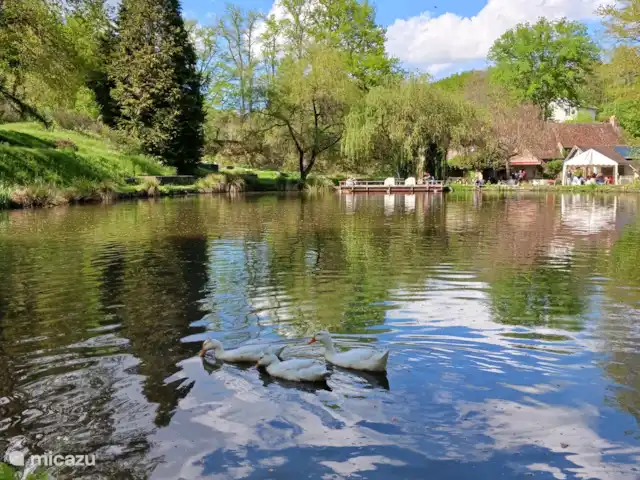 Uni-Vert avec piscine privée | France, Haute-Vienne, Coussac-Bonneval - gîte / cottage Lac de pêche à Coussac-Bonneval