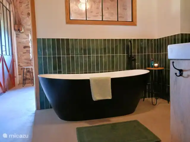 Uni-Vert avec piscine privée | France, Haute-Vienne, Coussac-Bonneval - gîte / cottage Salle de bain 1