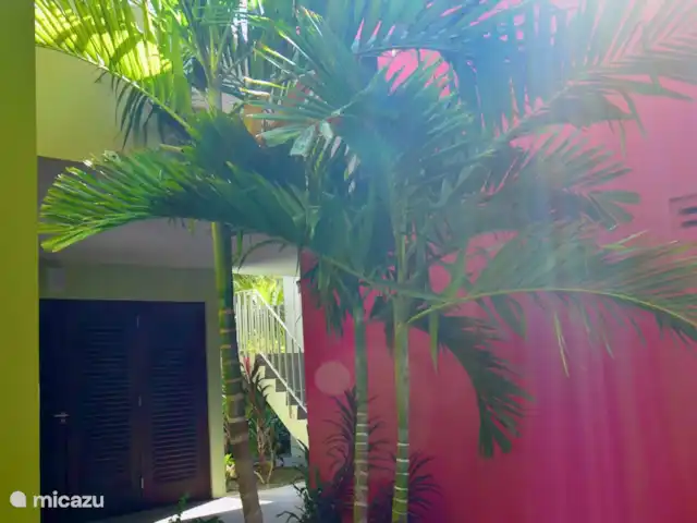 Villa Sanara piscina privada Ecoresort en Curazao, Curazao Centro, Boca St. Michiel - villa