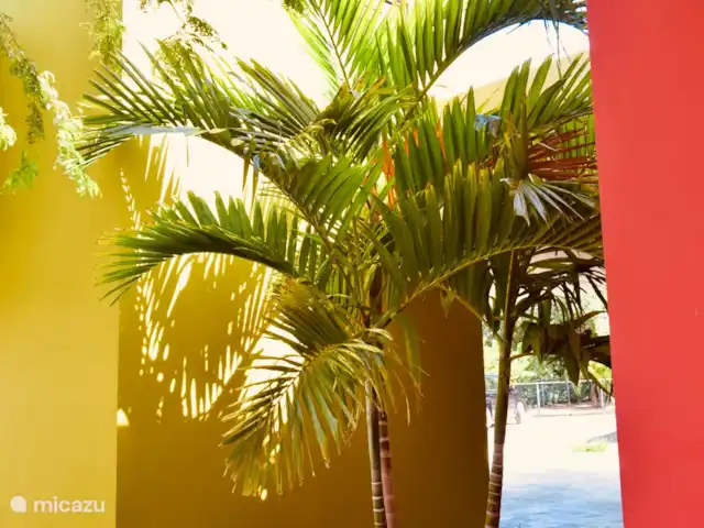 Villa Sanara piscina privada Ecoresort en Curazao, Curazao Centro, Boca St. Michiel - villa