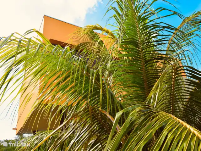 Villa Sanara piscina privada Ecoresort en Curazao, Curazao Centro, Boca St. Michiel - villa