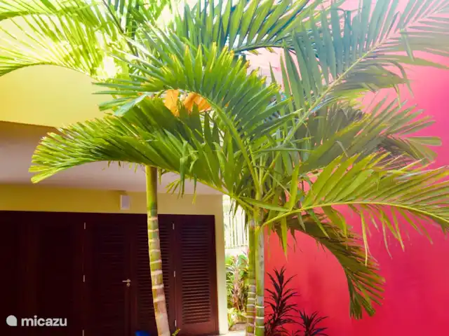 Villa Sanara piscina privada Ecoresort en Curazao, Curazao Centro, Boca St. Michiel - villa