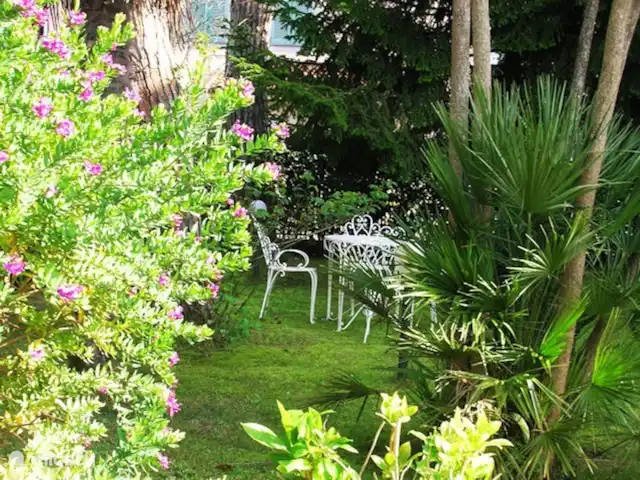 Location de Vacances Italie, Toscane, Forte Dei Marmi, villa -  Villa Elza à 400 mètres de la plage Jardin