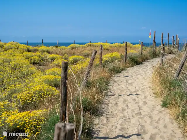 Location de Vacances Italie, Toscane, Forte Dei Marmi, villa -  Villa Elza à 400 mètres de la plage Grande plage naturelle gratuite. 400 m. de la maison