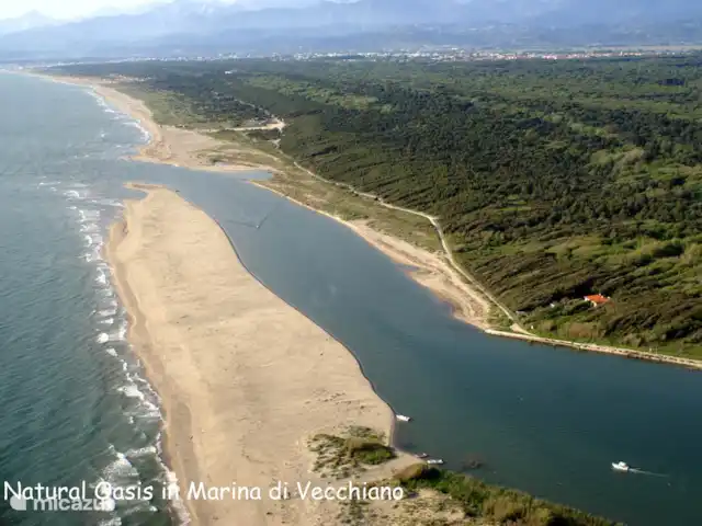 Location de Vacances Italie, Toscane, Forte Dei Marmi, villa -  Villa Elza à 400 mètres de la plage Oasis naturelle : la forêt de pins, les dunes et la mer