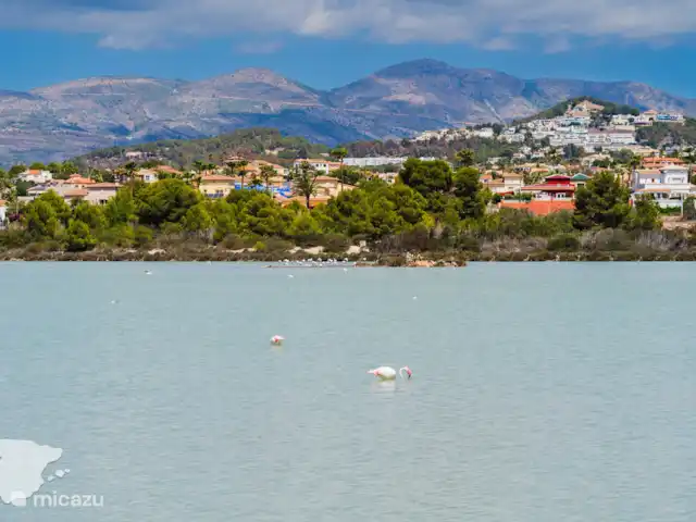 Tour d’Argent 2A | Espagne, Costa Blanca, Calpe - appartement
