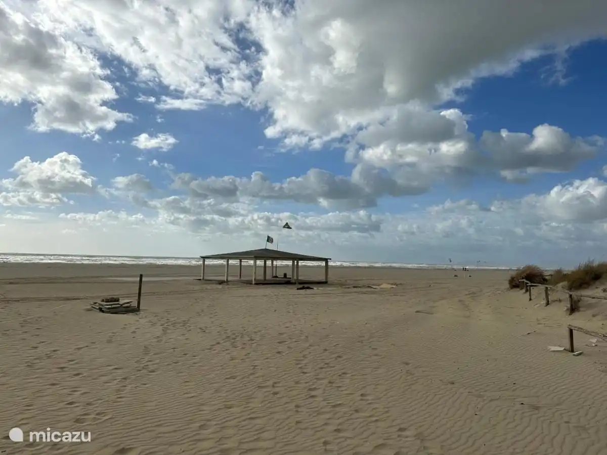 Der schöne Strand und das Meer