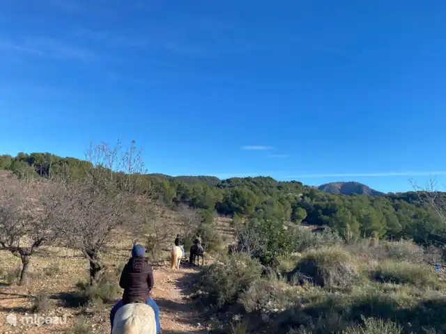 Location de Vacances Espagne, Valence, Valence (ville), villa - Villa Valencia Sunset Sentier d’équitation, Naquera