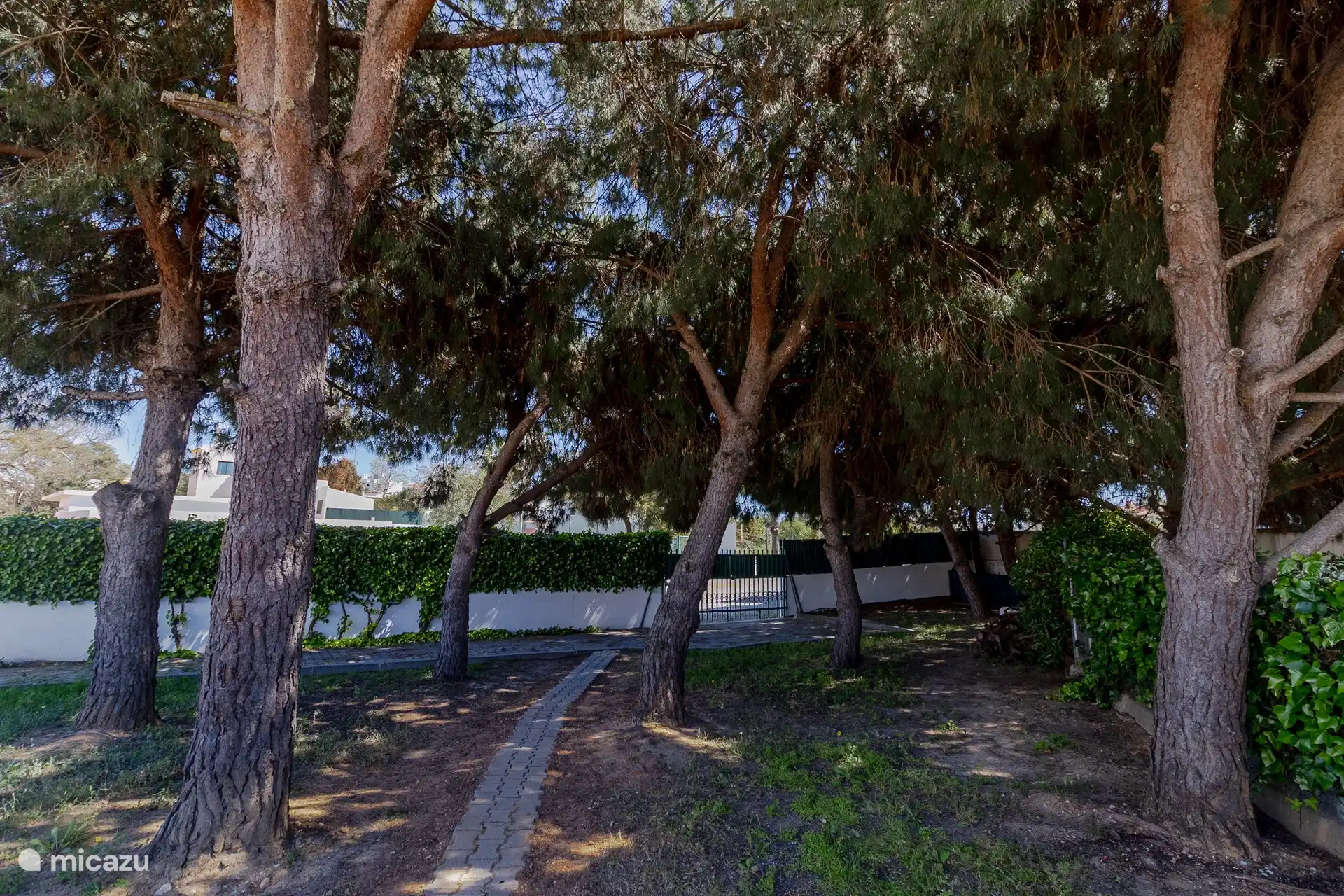 Path to the main road