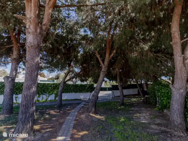 Villa das Acacias huren in Portugal, Algarve, Albufeira - villa Paadje naar de doorgaande weg