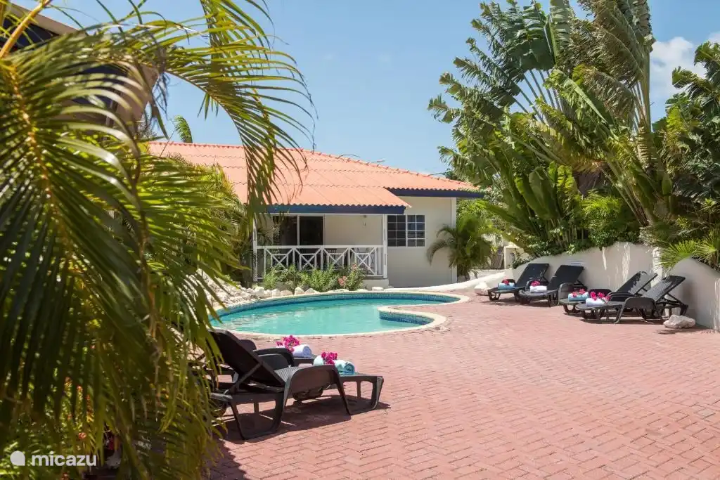 Beautiful swimming pool surrounded by a nice garden.