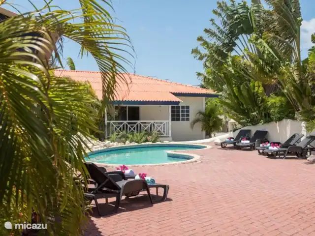 Blue Marlin Resort 4 | Curaçao, Banda Ariba (est), Mambo Beach - maison de vacances Belle piscine entourée d’un joli jardin.