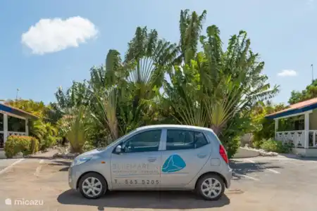 Alquiler de coches en el Resort