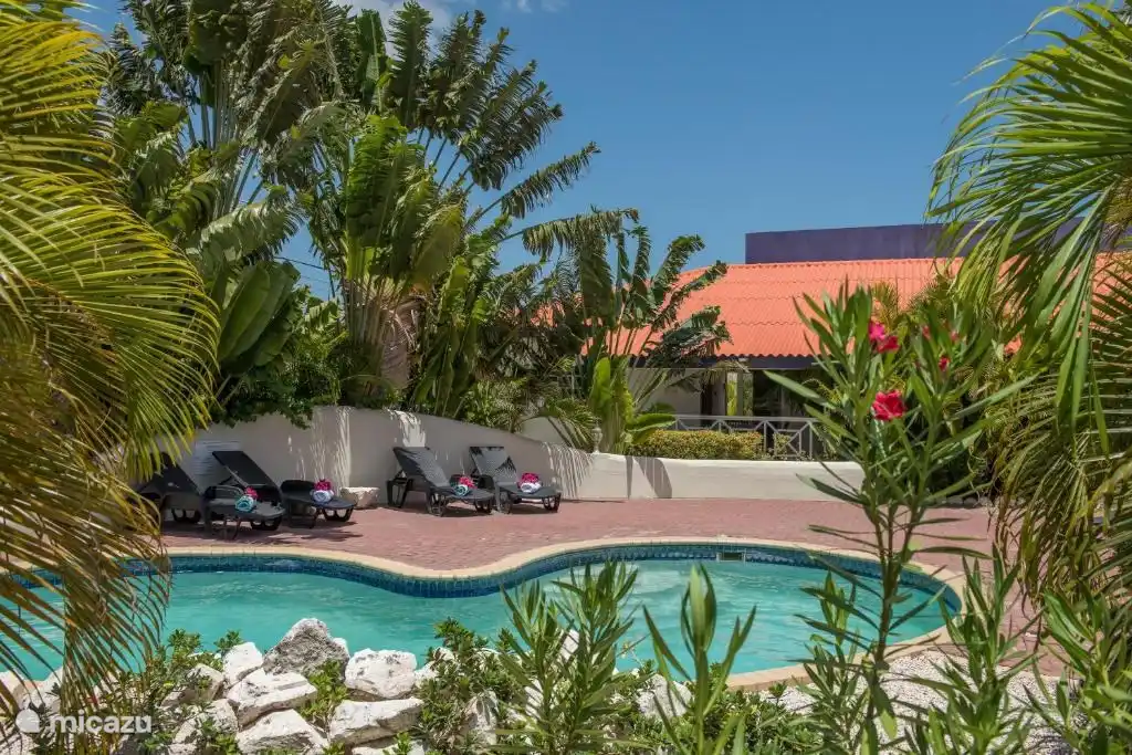 Blue Marlin Resort 3 in Curaçao, Banda Ariba (East), Mambo Beach - holiday house