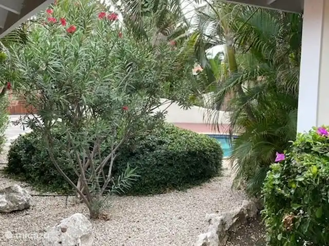 Blue Marlin Resort 3 | Curaçao, Banda Ariba (est), Mambo Beach - maison de vacances jardin