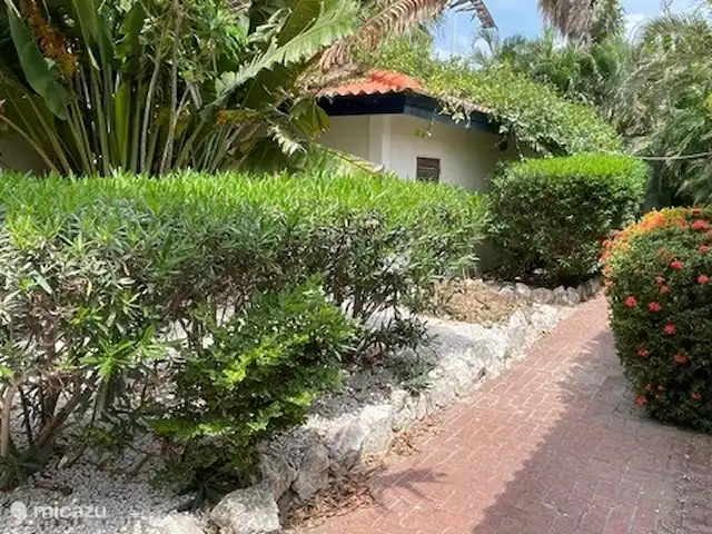 Blue Marlin Resort 3 | Curaçao, Banda Ariba (est), Mambo Beach - maison de vacances jardin