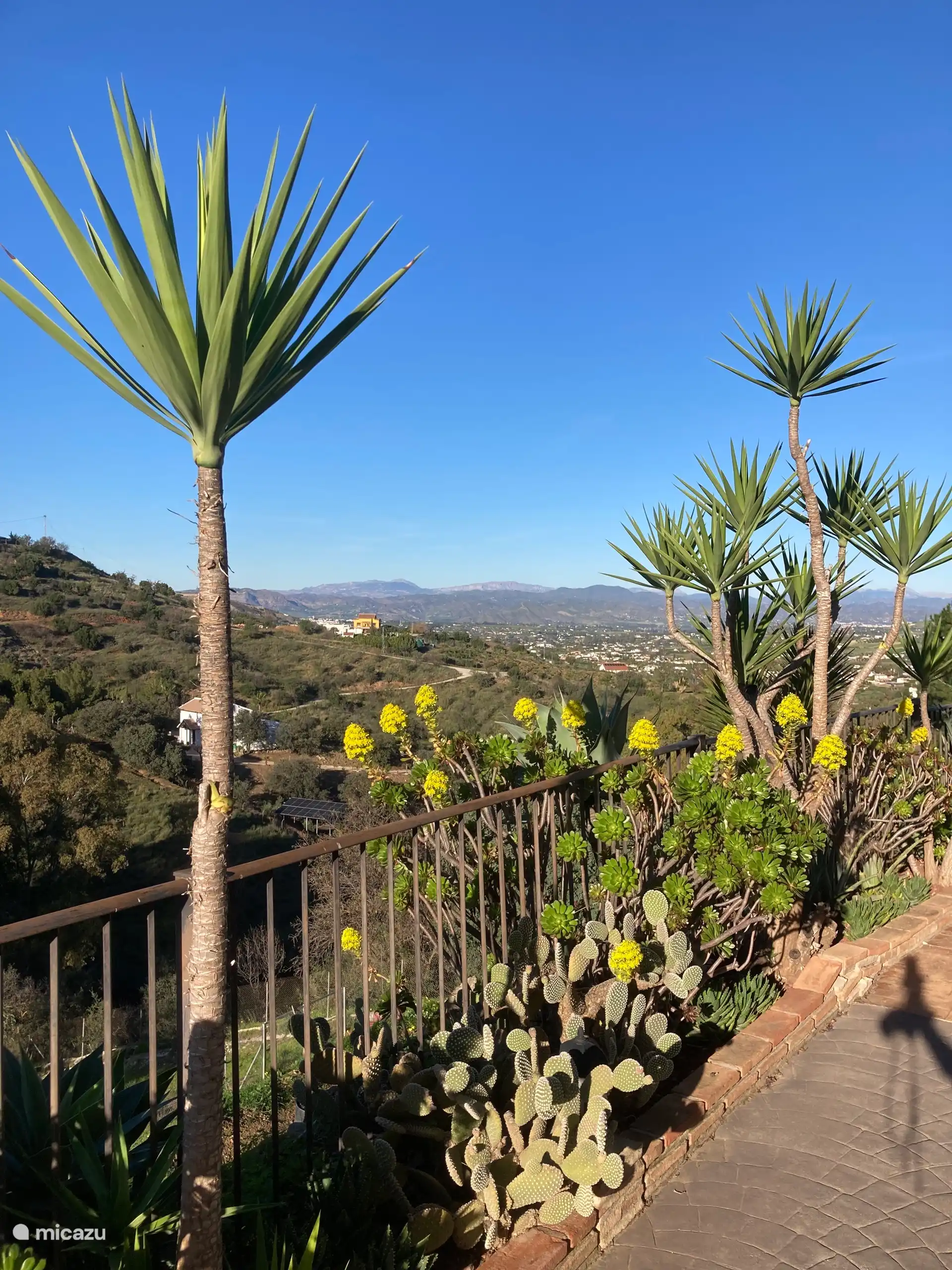 Vue depuis le jardin