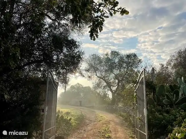 Antiguo Trullo Casa Lucca en Italia, Apulia, Carovigno - casa vacacional Puerta