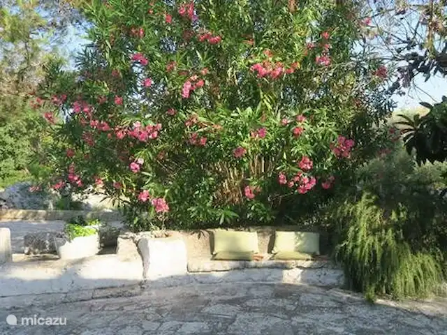 Antiguo Trullo Casa Lucca en Italia, Apulia, Carovigno - casa vacacional Jardín