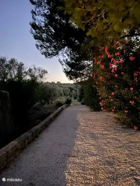 Camino a lo largo de la casa