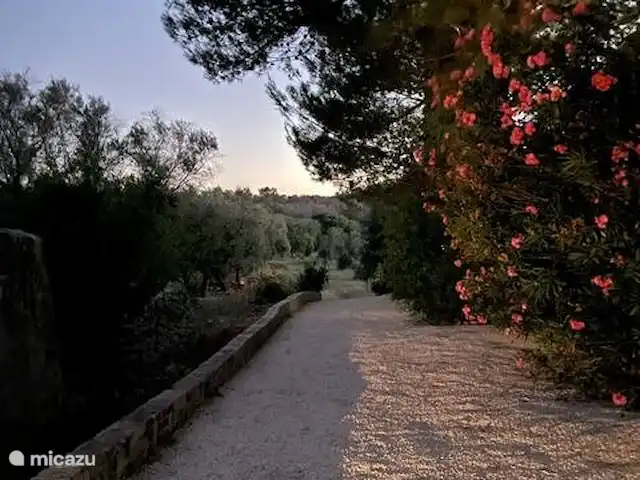 Antiguo Trullo Casa Lucca en Italia, Apulia, Carovigno - casa vacacional Camino a lo largo de la casa
