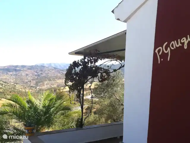 Location de Vacances Espagne, Andalousie, Tolox, chalet - Maison d’agritourisme Gauguin