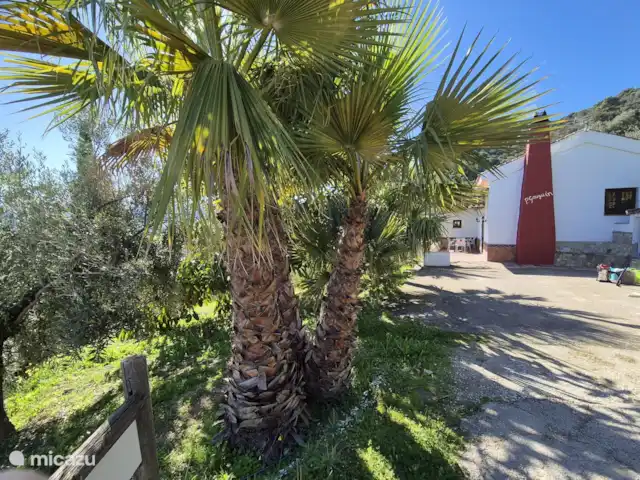 Location de Vacances Espagne, Andalousie, Tolox, chalet - Maison d’agritourisme Gauguin