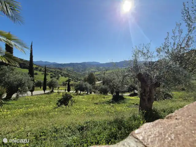 Location de Vacances Espagne, Andalousie, Tolox, chalet - Maison d’agritourisme Gauguin