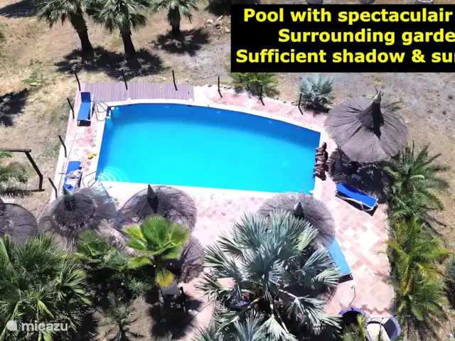 Location de Vacances Espagne, Andalousie, Tolox, chalet - Maison d’agritourisme Gauguin