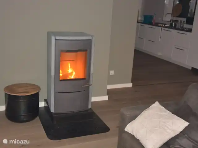 Maison de vacancesWinterberg max 16 pers | Allemagne, Sauerland, Winterberg - maison de vacances Belle chaleur et longues soirées agréables près du poêle à bois en stéatite