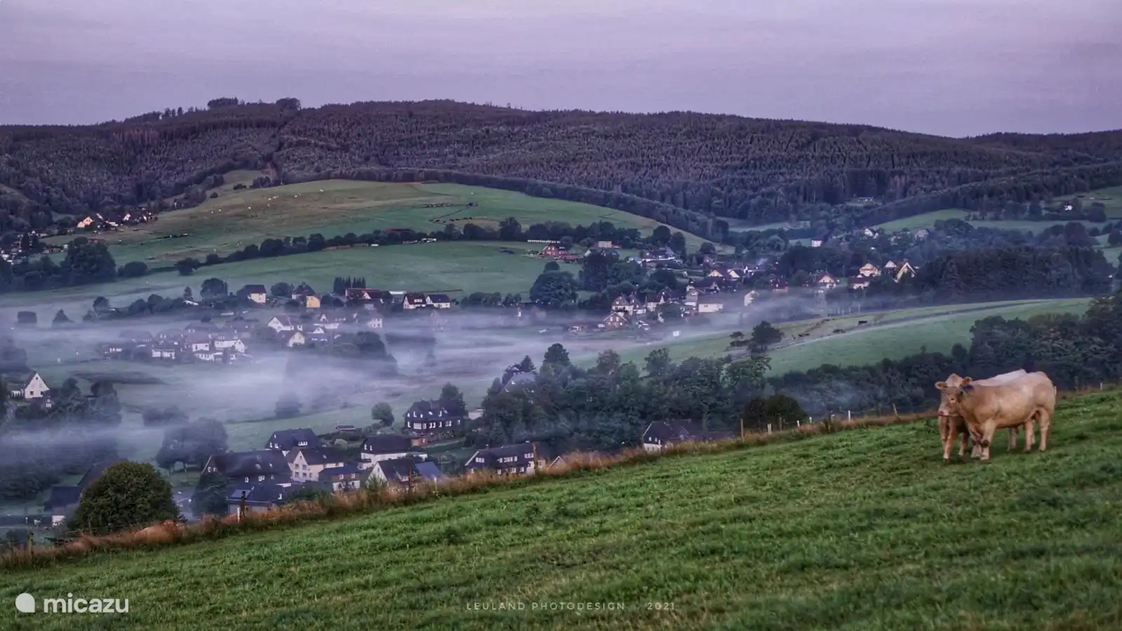 View over Oberndorf