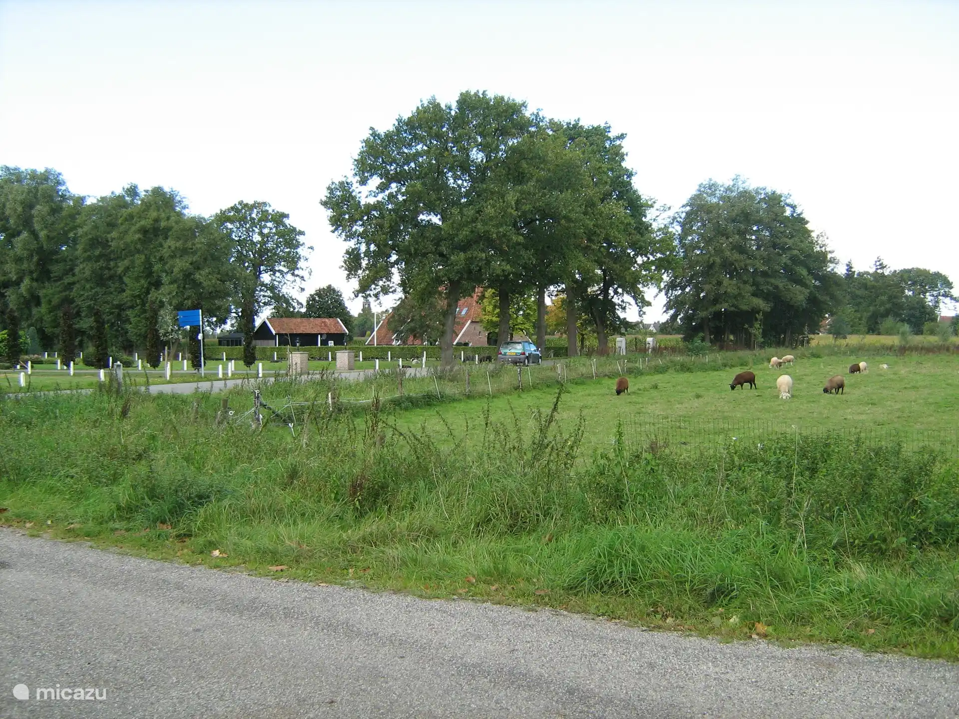 Blick von vorne über die Wiesen 
