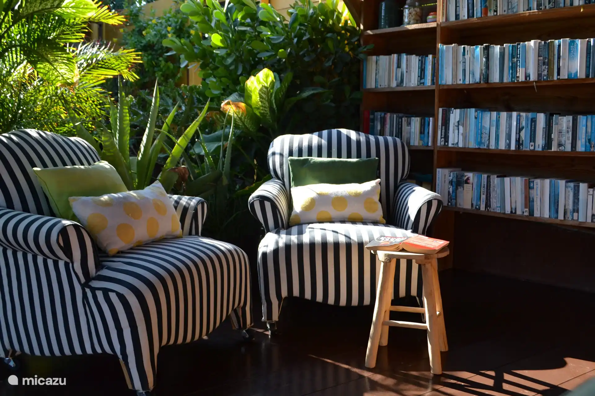 Frente a los estudios hay una gran cocina al aire libre con una terraza sombreada. Un lugar resguardado donde el viento siempre refresca y es maravilloso alojarse. La cocina al aire libre está totalmente equipada con estufa, placa grill, prensa francesa, hervidor de agua, licuadora, etc. Hay asientos de bar alrededor de la cocina y hay 