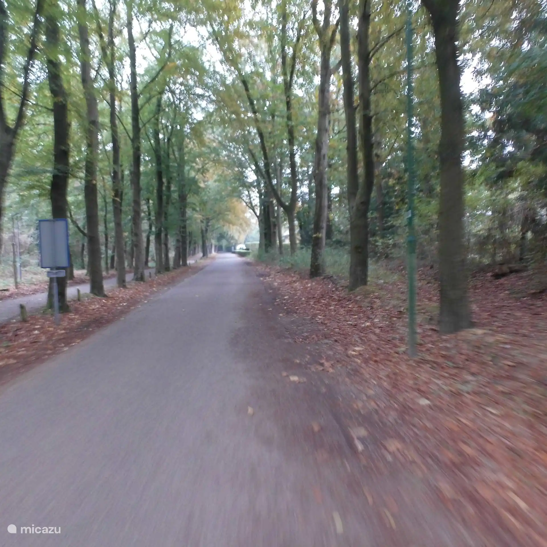 Zufahrtsstraße zum Park.