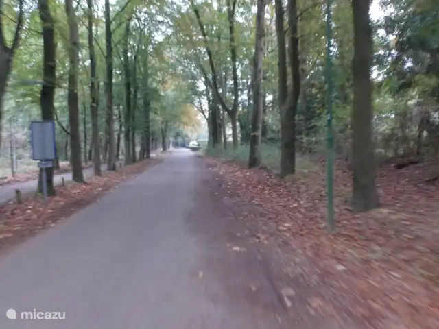 Heigraaf Woudenberg | Pays-Bas, Utrecht, Woudenberg - chalet Route d’accès au parc.