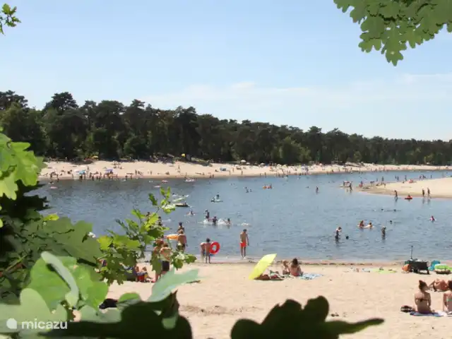 Heigraaf Woudenberg | Pays-Bas, Utrecht, Woudenberg - chalet Belle baignade, bronzage....